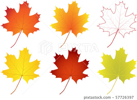 Set of autumn maple leaves. Vector. Set of autumn maple leaves. Vector. 57726397