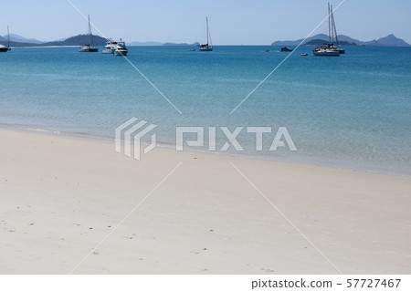 澳洲漢密爾頓島 57727467