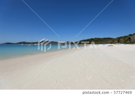 澳洲漢密爾頓島 57727469