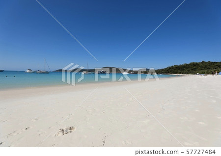 澳洲漢密爾頓島 澳洲漢密爾頓島 57727484