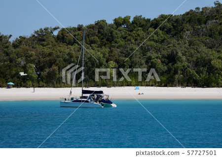 澳洲漢密爾頓島 澳洲漢密爾頓島 57727501
