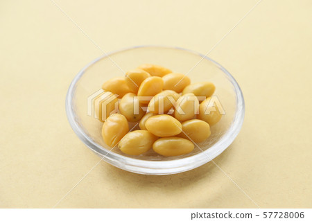 Ginkgo 57728006