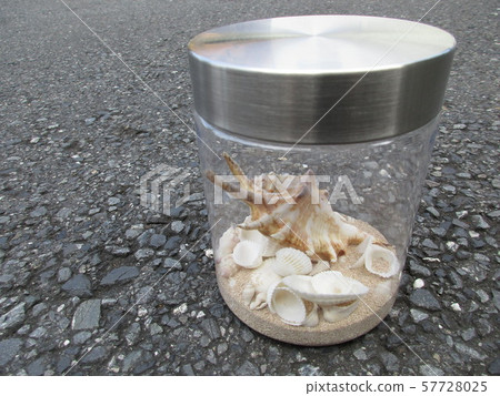 Seashell, summer memories Seashell, summer memories 57728025