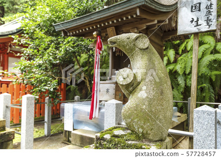 著名的老鼠之鄉京都大豐神社，京都，童年，2020年 57728457