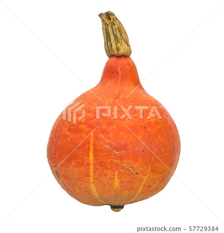 Hokkaido pumpkin close-up 3d rendering Hokkaido pumpkin close-up 3d rendering 57729384