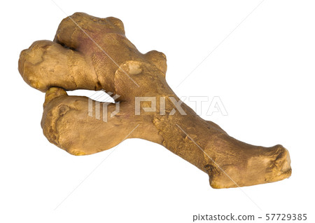 Fresh ginger rhizome close-up 3d rendering Fresh ginger rhizome close-up 3d rendering 57729385