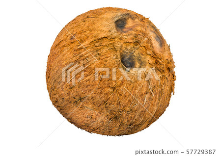 Coconut fruit close-up 3d rendering Coconut fruit close-up 3d rendering 57729387