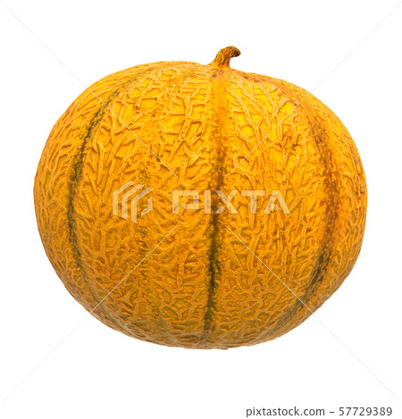 Charentais melon close-up 3d rendering Charentais melon close-up 3d rendering 57729389