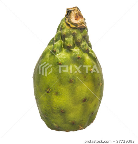Cactus pear close-up 3d rendering 57729392