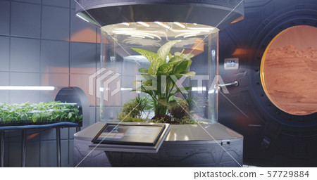 Plant incubators on a Mars base 57729884