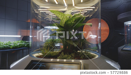 Plant incubators on a Mars base 57729886