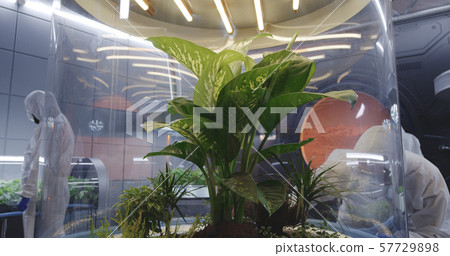 Biologists working in a lab on a Mars base Biologists working in a lab on a Mars base 57729898