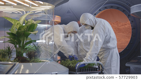 Scientists examining seedlings in a lab Scientists examining seedlings in a lab 57729903