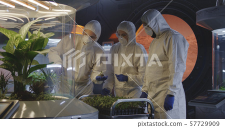 Scientists examining seedlings in a lab Scientists examining seedlings in a lab 57729909