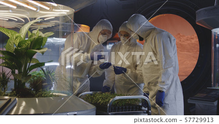 Scientists examining seedlings in a lab Scientists examining seedlings in a lab 57729913