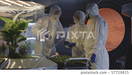 Scientists examining seedlings in a lab Scientists examining seedlings in a lab 57729915