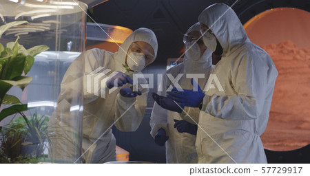 Scientists examining seedlings in a lab Scientists examining seedlings in a lab 57729917