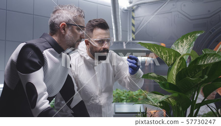 Scientists examining soil of Martian garden 57730247