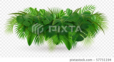 Tropical Leaves Bush Composition 57731194