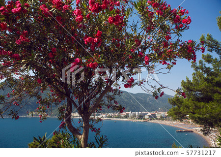 view of Marmaris in Turkey from the mountain view of Marmaris in Turkey from the mountain 57731217