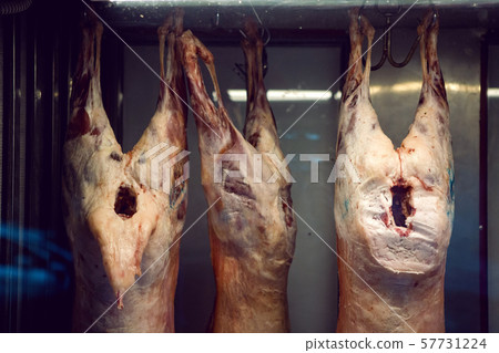 bodies of dead animals hanging on hooks in the shop bodies of dead animals hanging on hooks in the shop 57731224