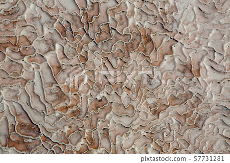 abstract white background with stone outer ripples of calcium in Pamukkale abstract white background with stone outer ripples of calcium in Pamukkale 57731281
