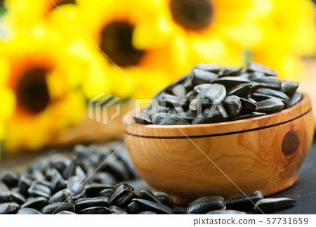 sunflower seed sunflower seed 57731659