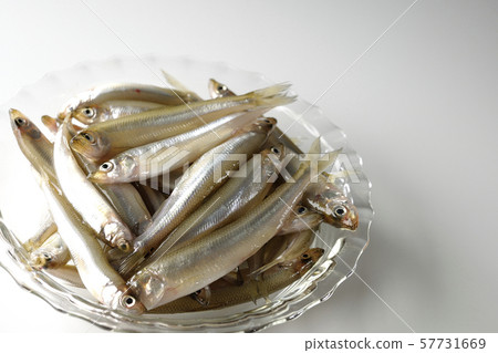 A lot of smelt 57731669