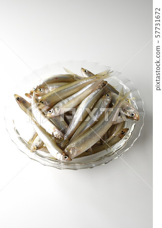 A lot of smelt A lot of smelt 57731672