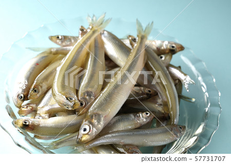 A lot of smelt A lot of smelt 57731707