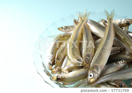A lot of smelt A lot of smelt 57731709