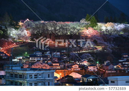 高遠櫻花 高遠櫻花 57732889