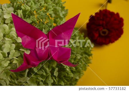origami butterfly on a green bush in a basket on a colored background beautiful bouquet studio close origami butterfly on a green bush in a basket on a colored background beautiful bouquet studio close 57733182