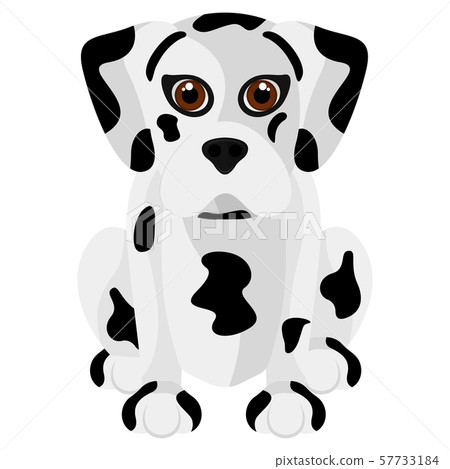 Isolated cute dalmatian cartoon Isolated cute dalmatian cartoon 57733184