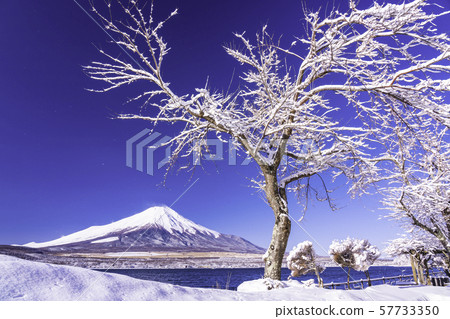 （山梨縣）富士山希望從積雪覆蓋的山區湖畔 57733350