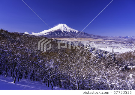 (Yamanashi Prefecture) Mt. Fuji from the snow-capped 20th pass (Yamanashi Prefecture) Mt. Fuji from the snow-capped 20th pass 57733535