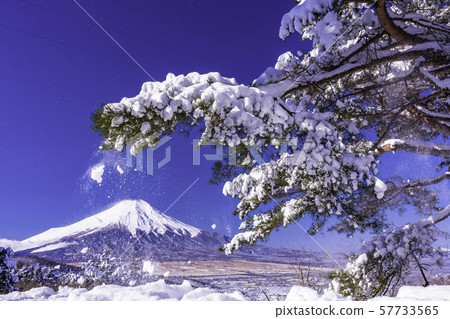 (Yamanashi Prefecture) Mt. Fuji from the snow-capped 20th pass (Yamanashi Prefecture) Mt. Fuji from the snow-capped 20th pass 57733565