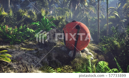 Wrecked space capsule lies in the jungle in the middle of palm trees and tropical vegetation. 3D Wrecked space capsule lies in the jungle in the middle of palm trees and tropical vegetation. 3D 57733899