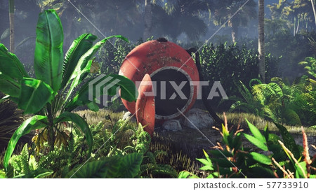 Wrecked space capsule lies in the jungle in the middle of palm trees and tropical vegetation. 3D Wrecked space capsule lies in the jungle in the middle of palm trees and tropical vegetation. 3D 57733910