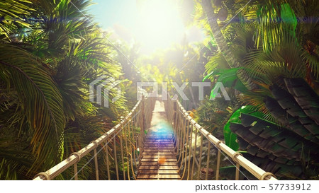 Wooden bridge over the green jungle. Green jungle trees and palm trees with blue sky and bright sun Wooden bridge over the green jungle. Green jungle trees and palm trees with blue sky and bright sun 57733912