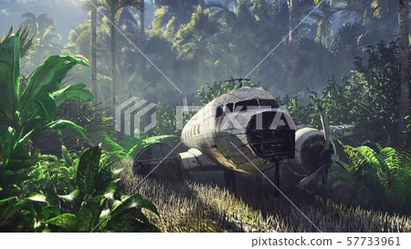 Wrecked plane lies in the jungle in the middle of palm trees and tropical vegetation. 3D Rendering Wrecked plane lies in the jungle in the middle of palm trees and tropical vegetation. 3D Rendering 57733961