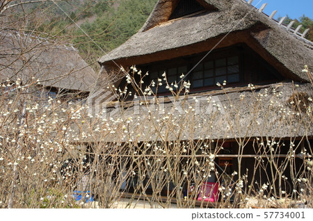 茅草屋頂 57734001