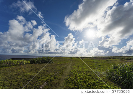 Haterumajima高崎 57735095