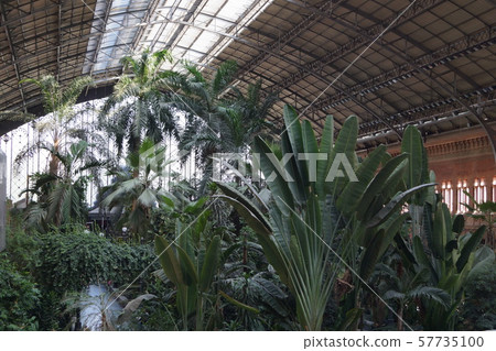 馬德里阿托查植物園站 馬德里阿托查植物園站 57735100