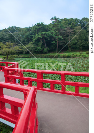Iwatsuki Castle Park Waterside Yatsuhashi Saitama City 57735258
