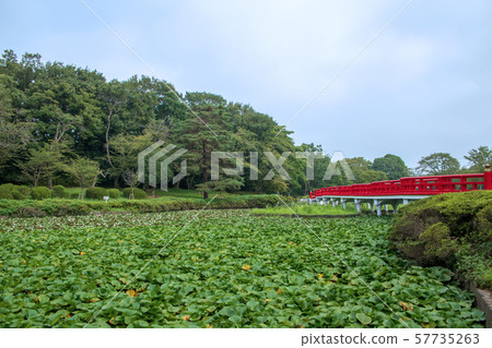 Iwatsuki Castle Park Waterside Yatsuhashi Saitama City Iwatsuki Castle Park Waterside Yatsuhashi Saitama City 57735263