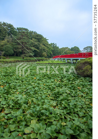 Iwatsuki Castle Park Waterside Yatsuhashi埼玉市 57735264