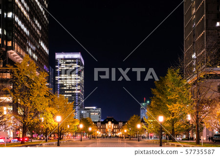 Tokyo Station / Lights up Tokyo Station / Lights up 57735587