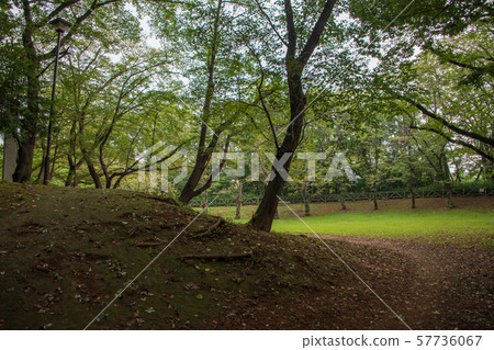 Sa玉市白鶴城遺址附近的岩崎城公園 57736067