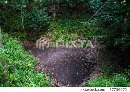 Sa玉城岩城城公園Park遺址 57736073